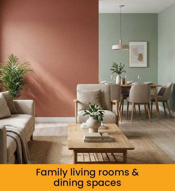 Family living rooms & Dining spaces